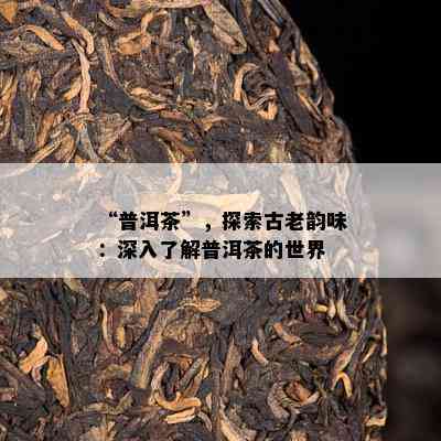 “普洱茶”，探索古老韵味：深入了解普洱茶的世界