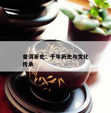 普洱茶史：千年历史与文化传承