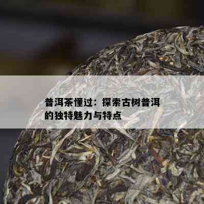 普洱茶懂过：探索古树普洱的特别魅力与特点