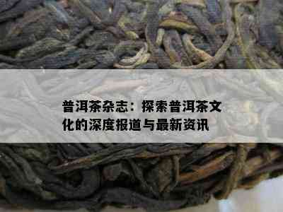 普洱茶杂志：探索普洱茶文化的深度报道与最新资讯