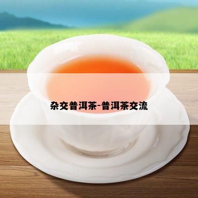 杂交普洱茶-普洱茶交流