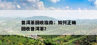 普洱茶回收指南：如何正确回收普洱茶？