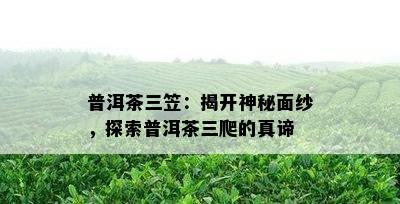 普洱茶三笠：揭开神秘面纱，探索普洱茶三爬的真谛