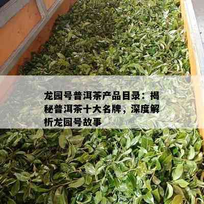 龙园号普洱茶产品目录：揭秘普洱茶十大名牌，深度解析龙园号故事