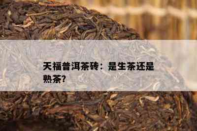 天福普洱茶砖：是生茶还是熟茶？