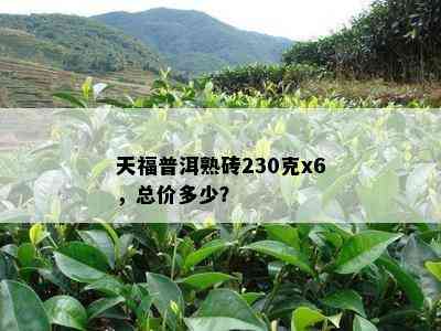 天福普洱熟砖230克x6，总价多少？