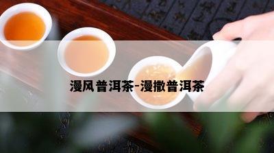 漫风普洱茶-漫撒普洱茶