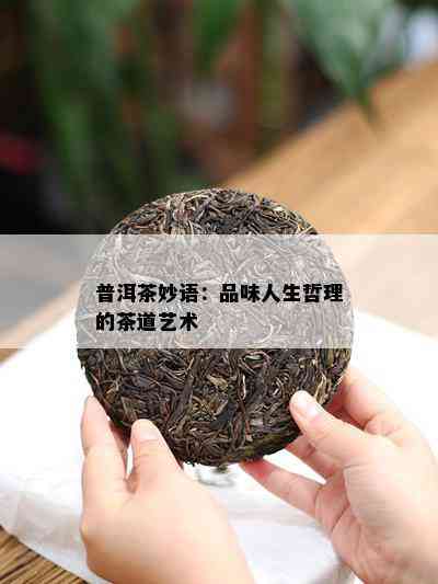 普洱茶妙语：品味人生哲理的茶道艺术