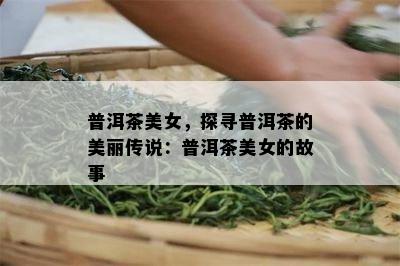 普洱茶美女，探寻普洱茶的美丽传说：普洱茶美女的故事