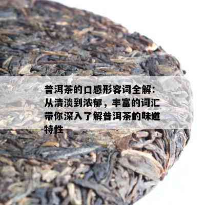 普洱茶的口感形容词全解：从清淡到浓郁，丰富的词汇带你深入了解普洱茶的味道特性