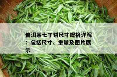 普洱茶七子饼尺寸规格详解：包括尺寸、重量及图片展示