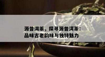 源普洱茶，探寻源普洱茶：品味古老韵味与独特魅力