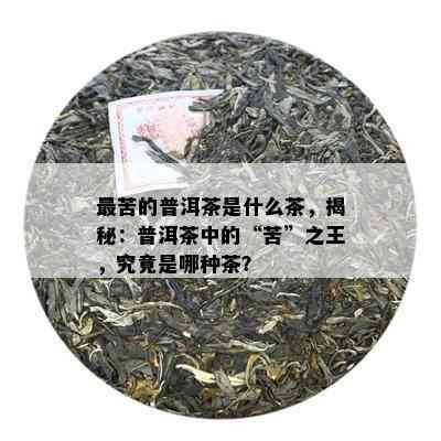 最苦的普洱茶是什么茶，揭秘：普洱茶中的“苦”之王，究竟是哪种茶？