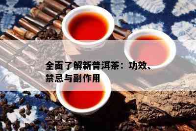 全面熟悉新普洱茶：功效、禁忌与副作用