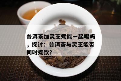 普洱茶加灵芝煮能一起喝吗，探讨：普洱茶与灵芝能否同时煮饮？