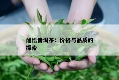 醒悟普洱茶：价格与品质的探索