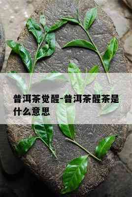 普洱茶觉醒-普洱茶醒茶是什么意思