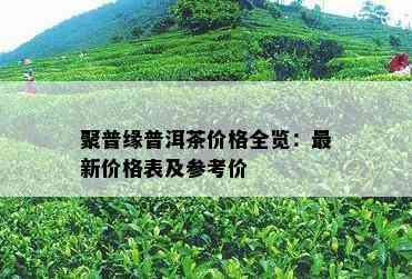 聚普缘普洱茶价格全览：最新价格表及参考价