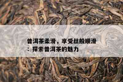 普洱茶柔滑，享受丝般顺滑：探索普洱茶的魅力