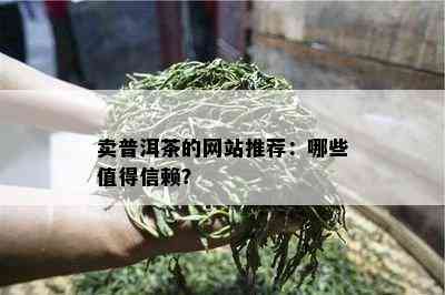 卖普洱茶的网站推荐：哪些值得信赖？