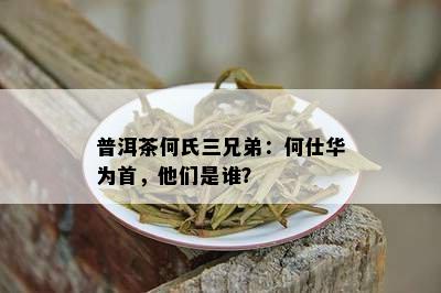 普洱茶何氏三兄弟：何仕华为首，他们是谁？