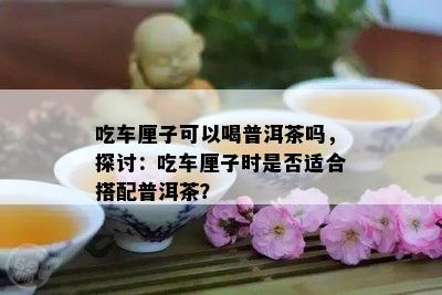 吃车厘子可以喝普洱茶吗，探讨：吃车厘子时是不是适合搭配普洱茶？