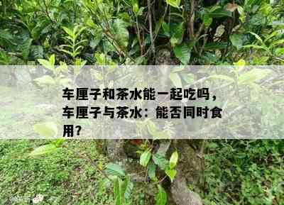 车厘子和茶水能一起吃吗，车厘子与茶水：能否同时食用？