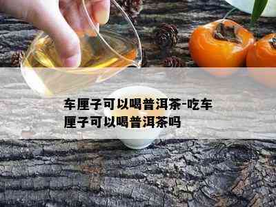 车厘子可以喝普洱茶-吃车厘子可以喝普洱茶吗