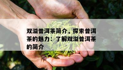 双溢普洱茶简介，探索普洱茶的魅力：熟悉双溢普洱茶的简介