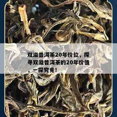 双溢普洱茶20年价位，探寻双溢普洱茶的20年价值，一探究竟！