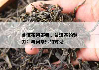 普洱茶问茶师，普洱茶的魅力：与问茶师的对话