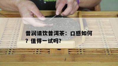 普润请饮普洱茶：口感如何？值得一试吗？