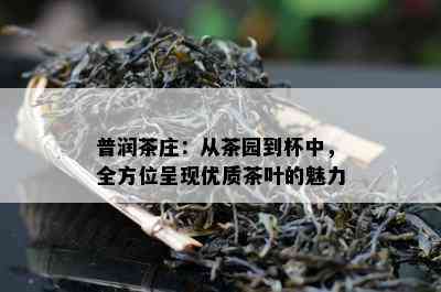 普润茶庄：从茶园到杯中，全方位呈现优质茶叶的魅力