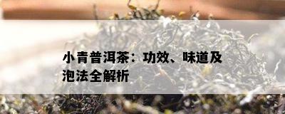 小青普洱茶：功效、味道及泡法全解析