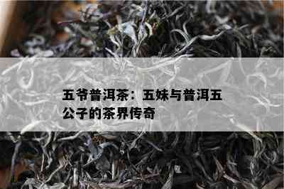 五爷普洱茶：五妹与普洱五公子的茶界传奇