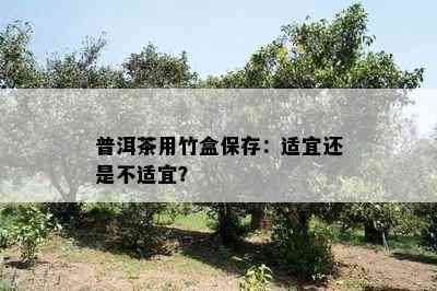 普洱茶用竹盒保存：适宜还是不适宜？