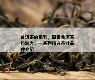 普洱茶的系列，探索普洱茶的魅力：一系列精选茶叶品种介绍