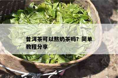 普洱茶可以熬奶茶吗？简单教程分享