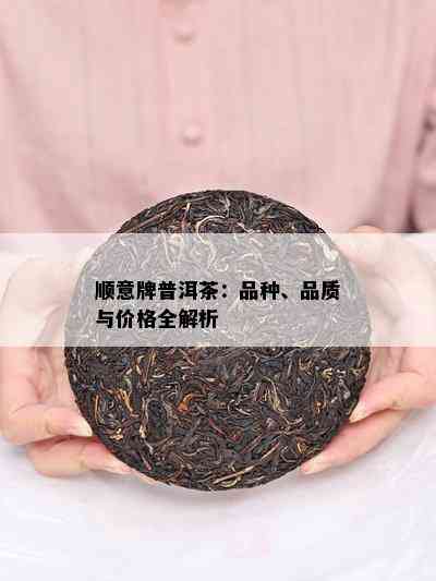 顺意牌普洱茶：品种、品质与价格全解析