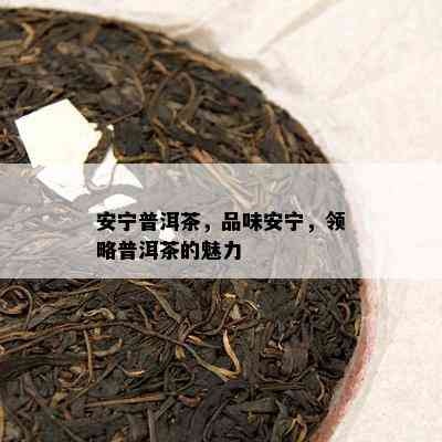 安宁普洱茶，品味安宁，领略普洱茶的魅力