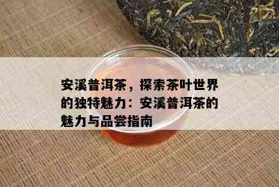 安溪普洱茶，探索茶叶世界的特别魅力：安溪普洱茶的魅力与品尝指南