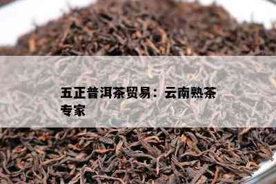 五正普洱茶贸易：云南熟茶专家