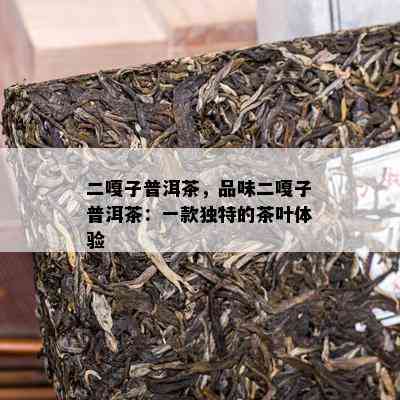 二嘎子普洱茶，品味二嘎子普洱茶：一款特别的茶叶体验