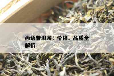 燕语普洱茶：价格、品质全解析