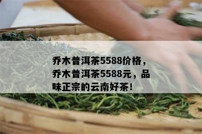 乔木普洱茶5588价格，乔木普洱茶5588元，品味正宗的云南好茶！