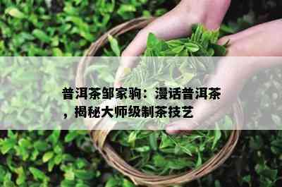 普洱茶邹家驹：漫话普洱茶，揭秘大师级制茶技艺