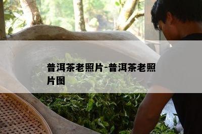 普洱茶老照片-普洱茶老照片图