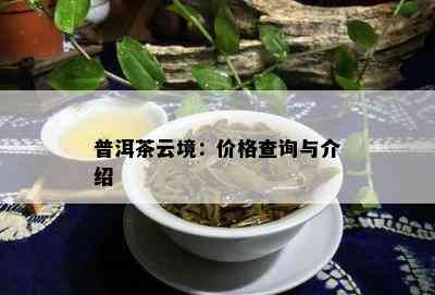 普洱茶云境：价格查询与介绍