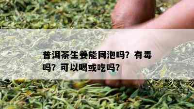 普洱茶生姜能同泡吗？有吗？可以喝或吃吗？