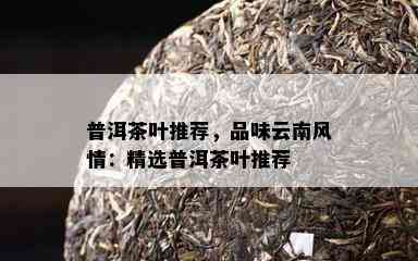 普洱茶叶推荐，品味云南风情：精选普洱茶叶推荐